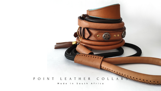 Point Leather Collars