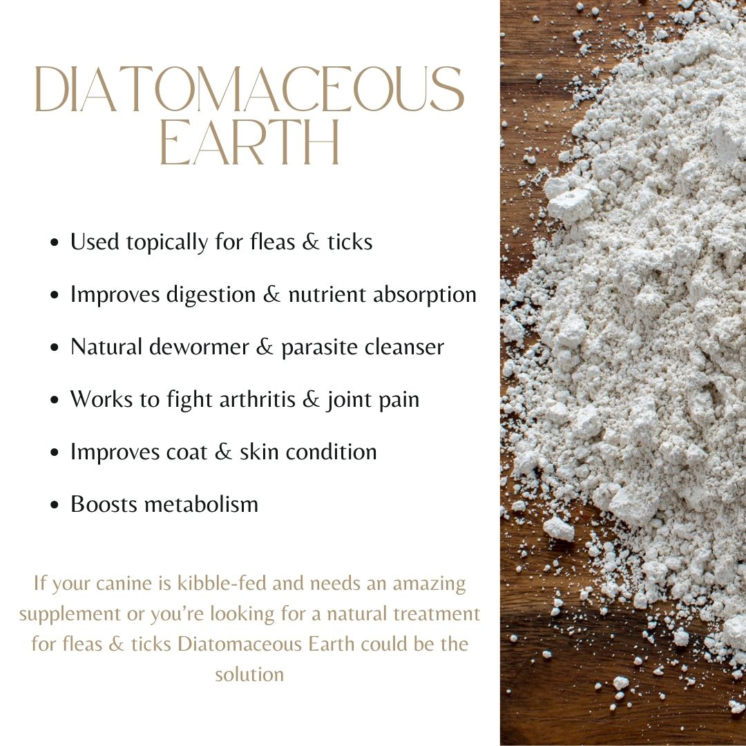 Diatomaceous earth for fleas and ticks best sale