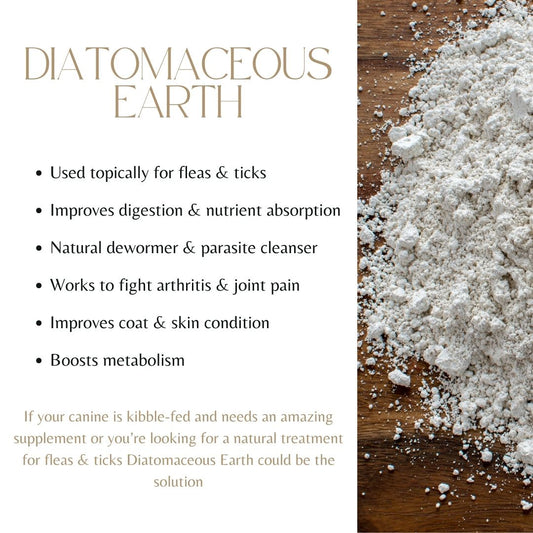 Diatomaceous Earth Benefits 