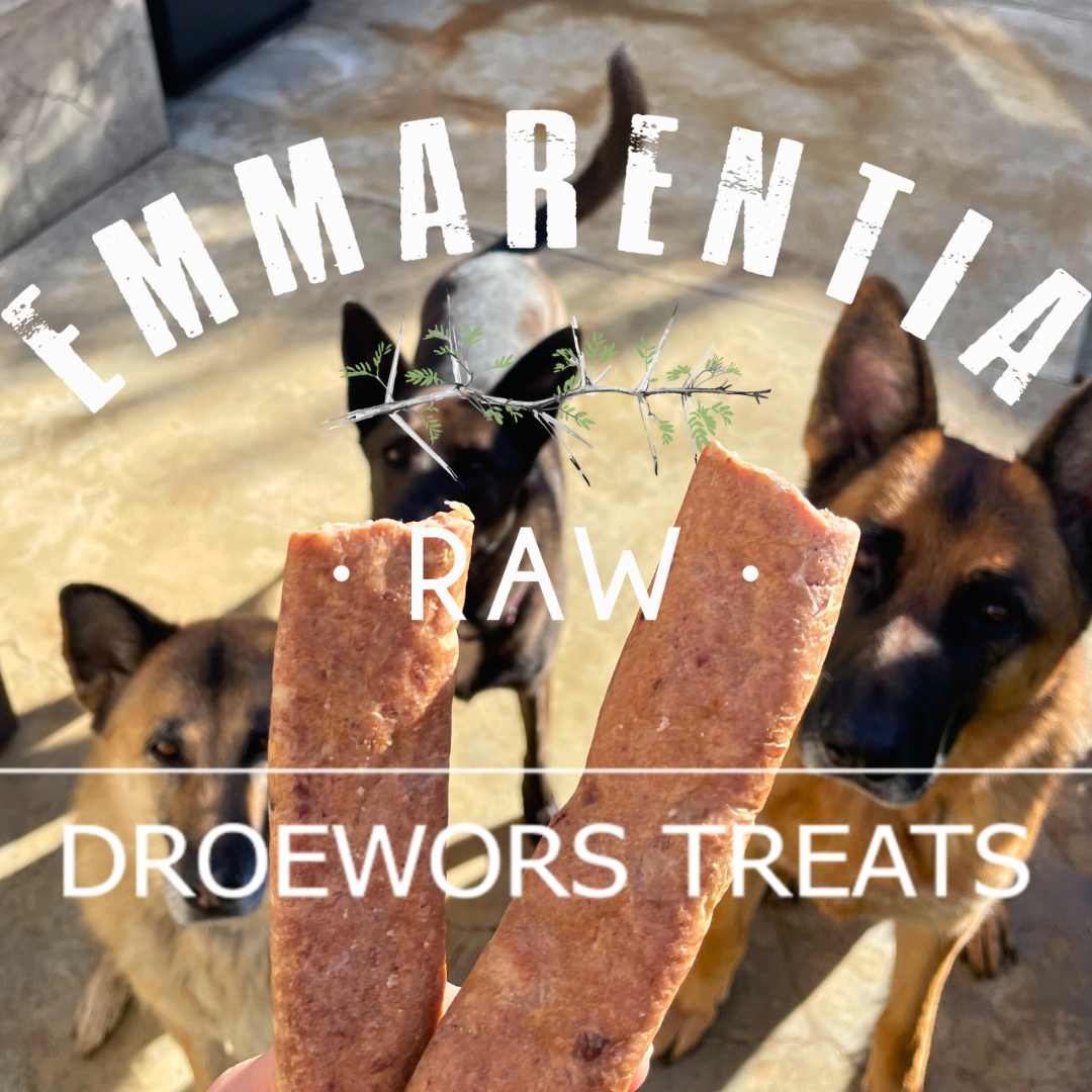 Droewors Dog Treats - All natural 