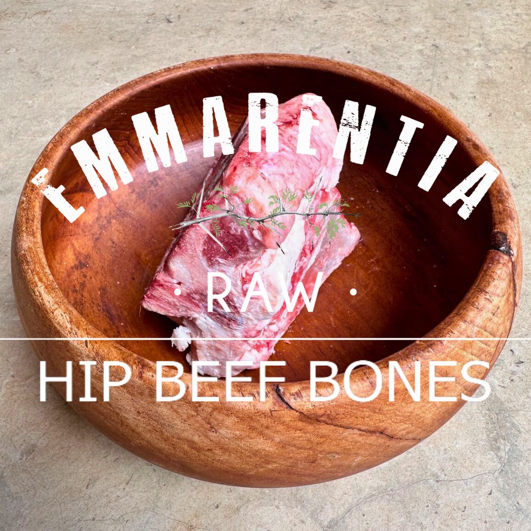 Beef Hip Bone Treat