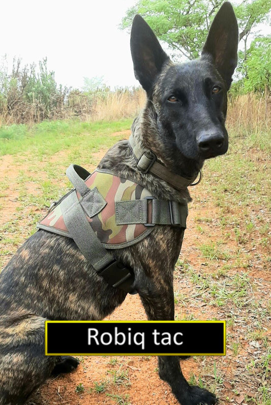 Robiqtac  Harness