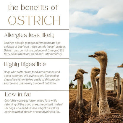 Benefits of Raw Ostrich Canine Meal 